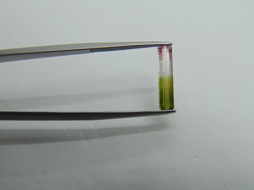 1.30ct Tourmaline Bicolor 14x3mm