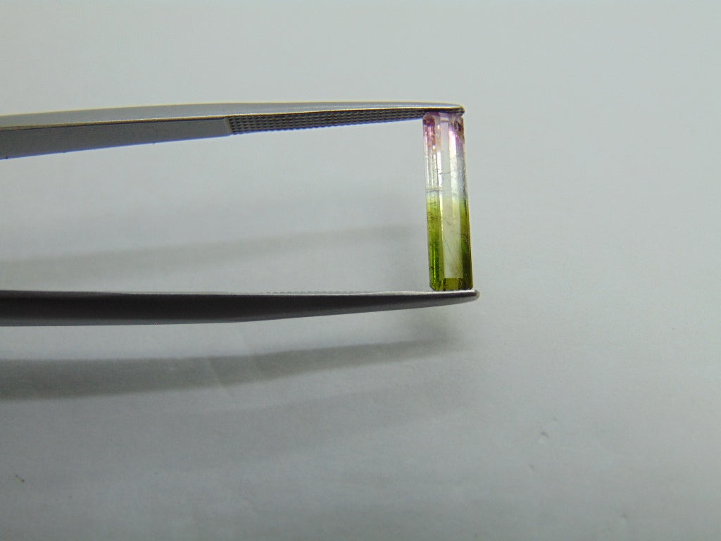 1,30ct Turmalina Bicolor 14x3mm