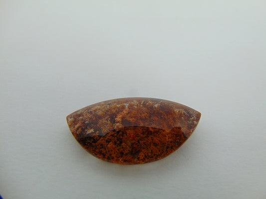 Lodolita 37,30 ct 37x19mm