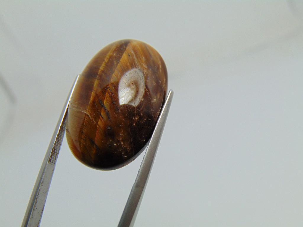 29.90cts  Quartz (Tiger Eye)