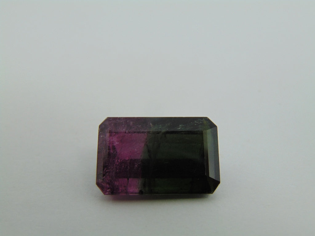 18,40cts Turmalina (Bicolor)