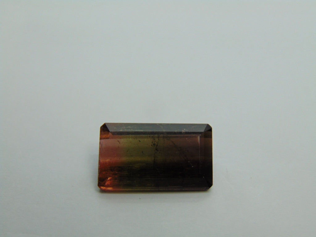 17cts Turmalina (Bicolor)