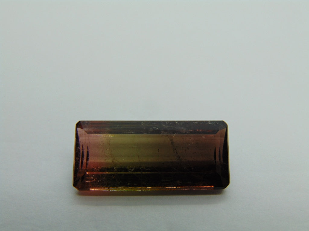 12,50cts Turmalina (Bicolor)