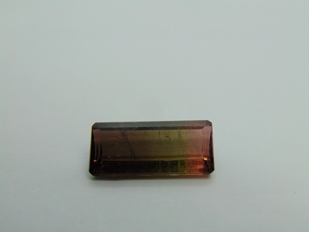 12,50cts Turmalina (Bicolor)