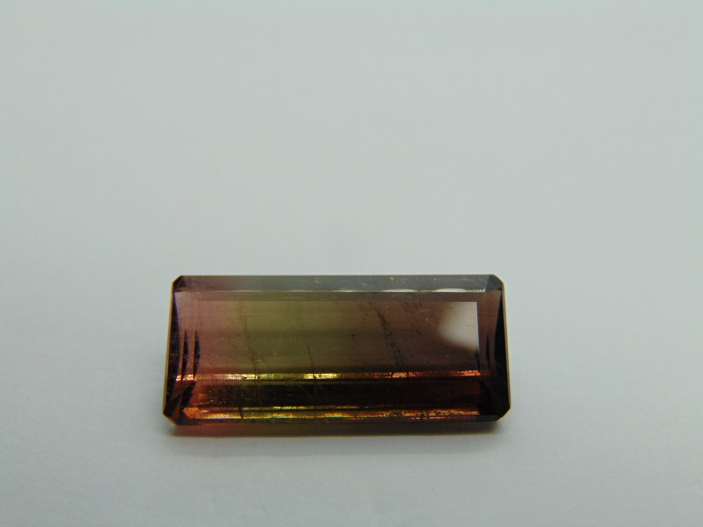 12,50cts Turmalina (Bicolor)