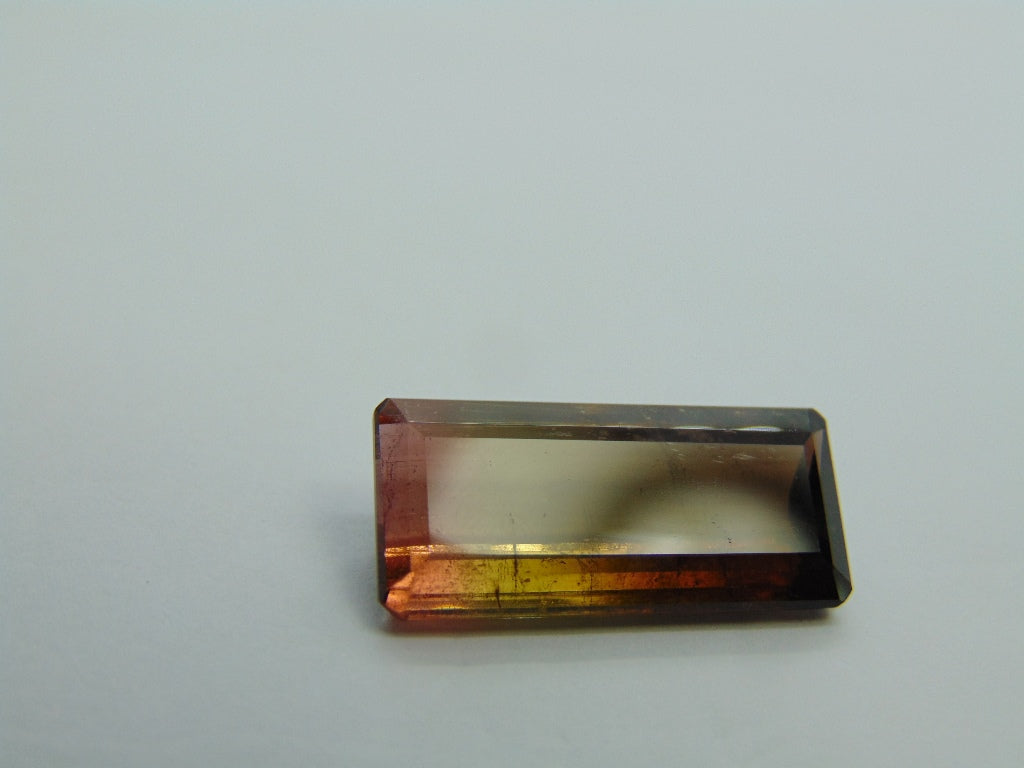 12,50cts Turmalina (Bicolor)