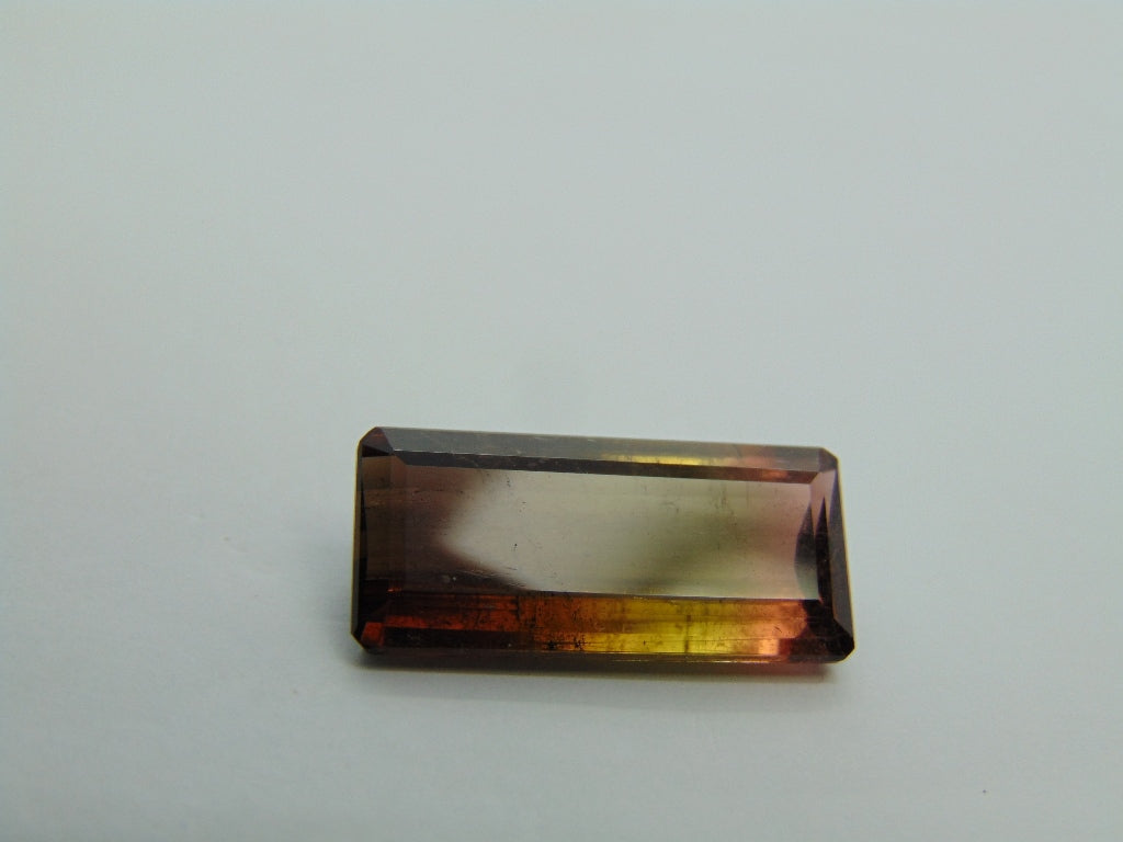 12,50cts Turmalina (Bicolor)