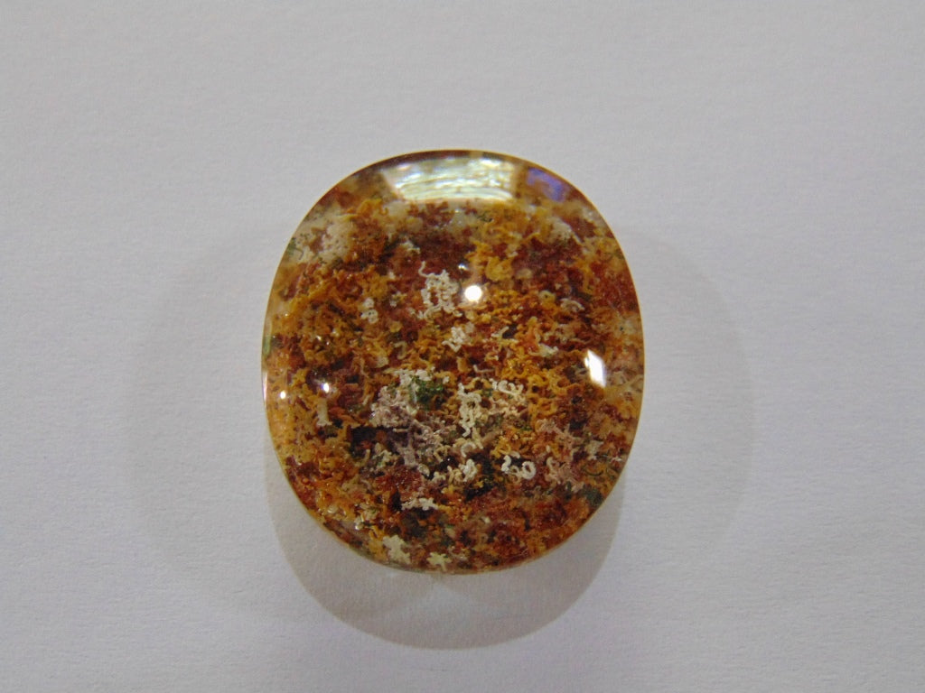 Lodolita 47,30 ct 26x22mm