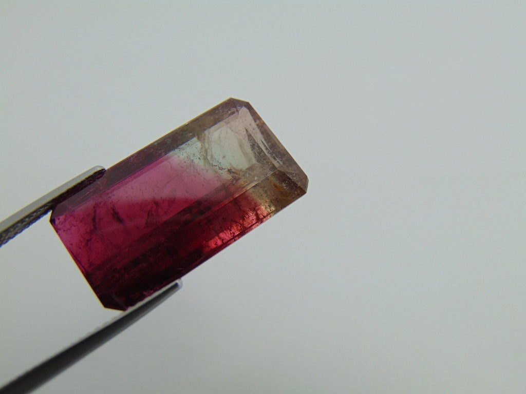 23.20cts Tourmaline (Bicolor)