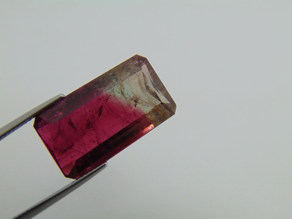 23.20cts Tourmaline (Bicolor)