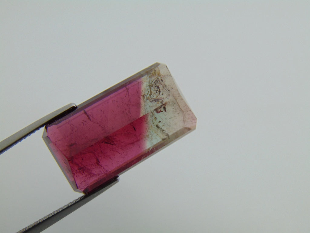 23.20cts Tourmaline (Bicolor)