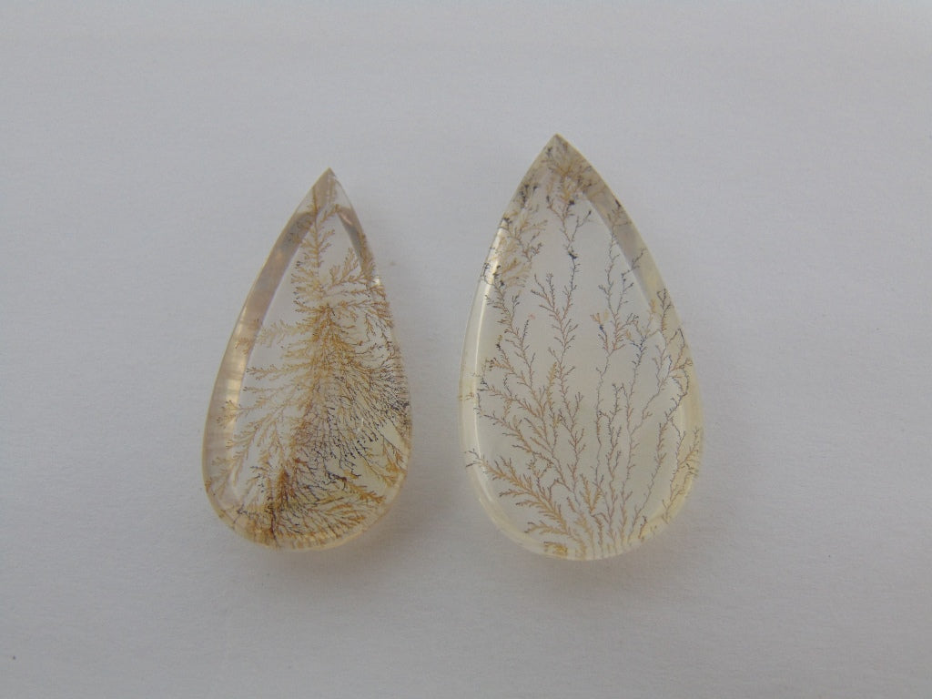 Dendrito 45,50ct