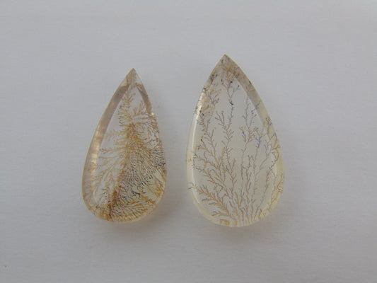 Dendrito 45,50ct