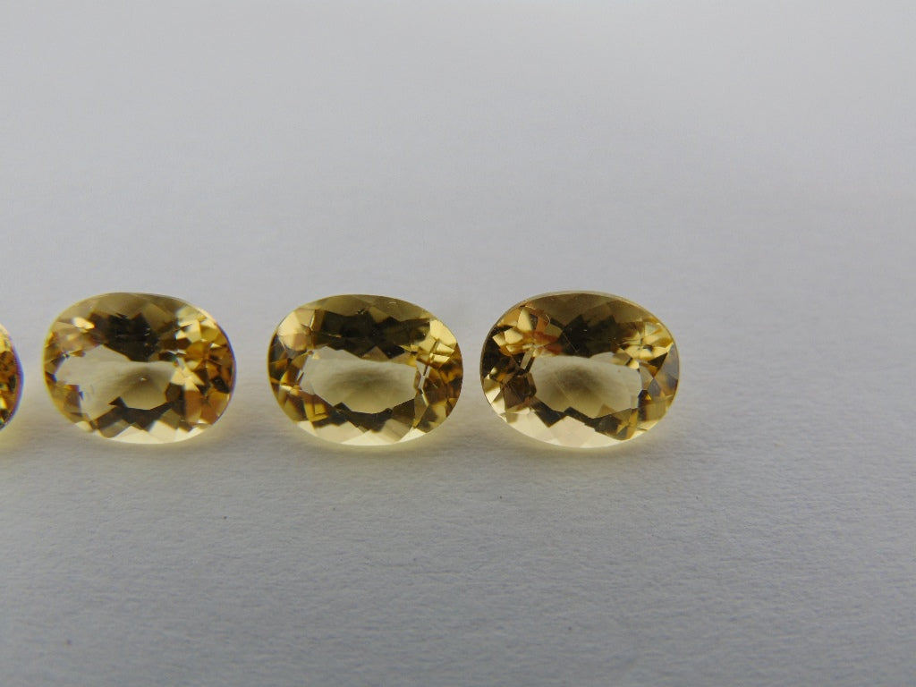 7,60cts Beryl (calibrado)