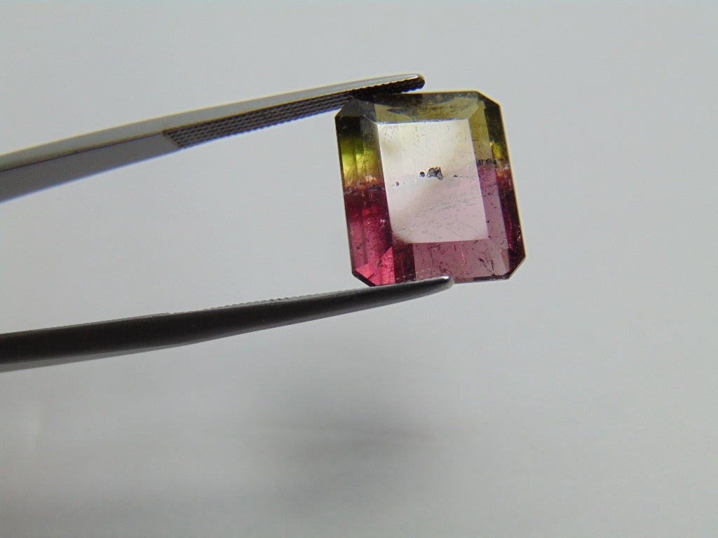 Turmalina Bicolor 7,70ct 13x11mm