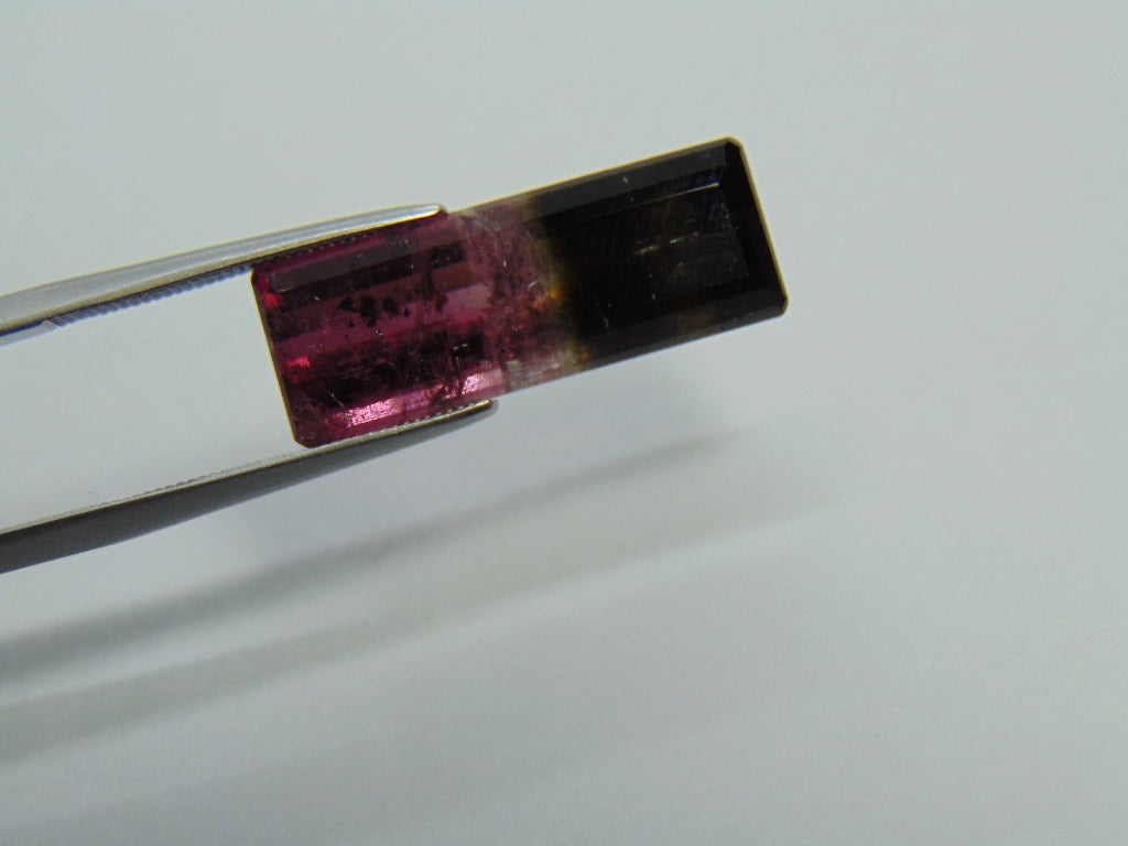 10,95ct Turmalina Bicolor 23x8mm