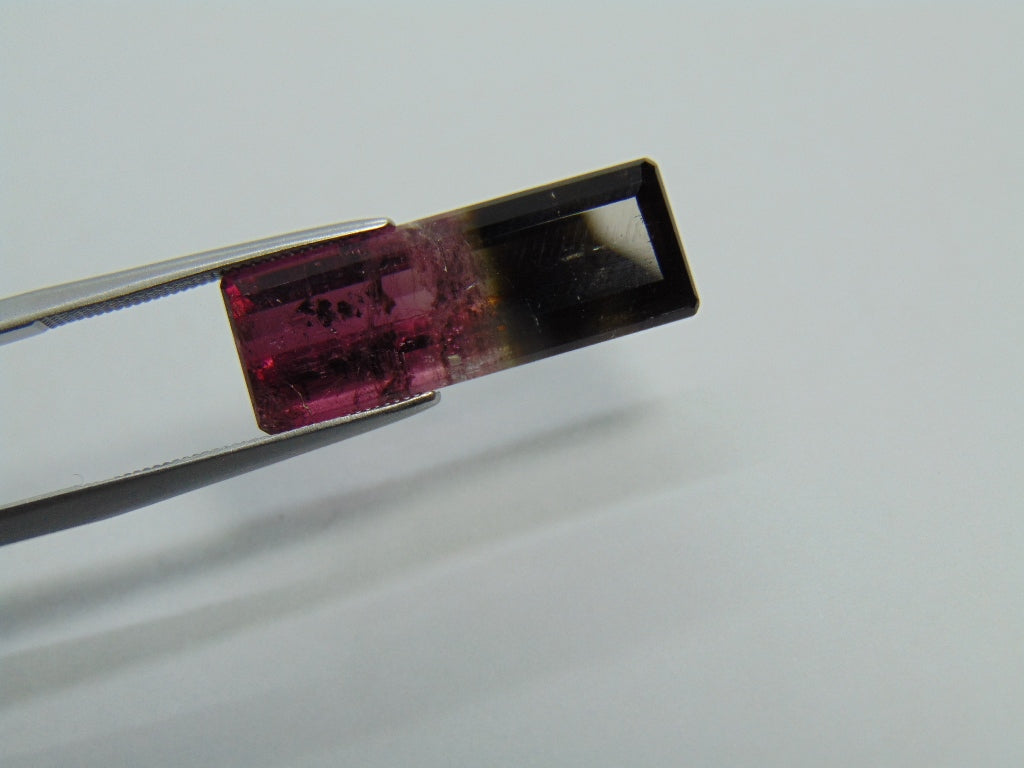 10,95ct Turmalina Bicolor 23x8mm