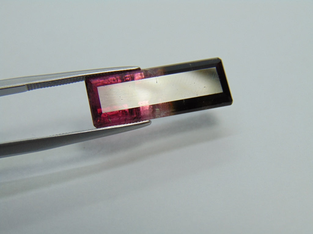 10,95ct Turmalina Bicolor 23x8mm