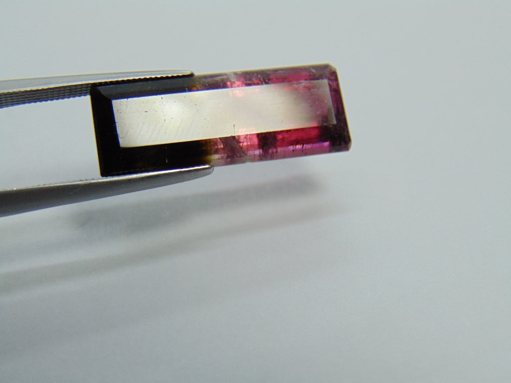 10,95ct Turmalina Bicolor 23x8mm