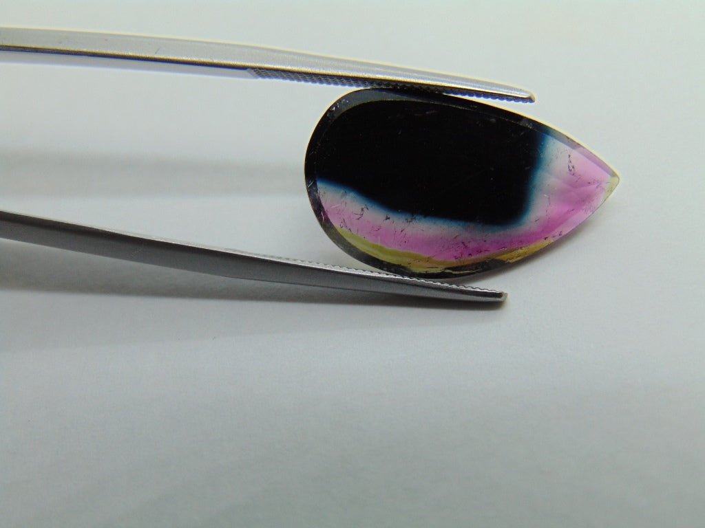 Turmalina Bicolor 7,19ct 21x12mm