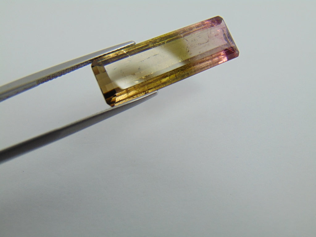 14.20cts Tourmaline (Bicolor)