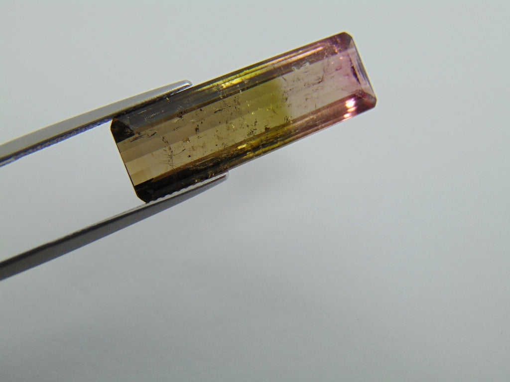 14.20cts Tourmaline (Bicolor)