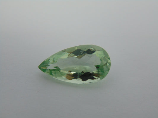 16.90cts Prasiolite