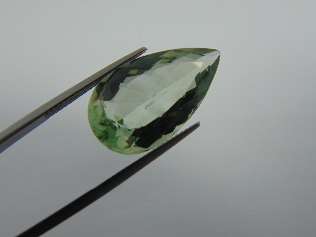 16.90cts Prasiolite