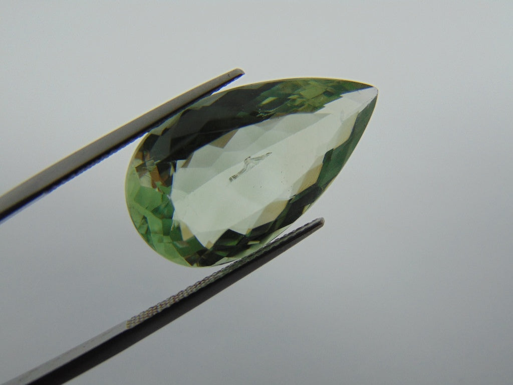 16.90cts Prasiolite