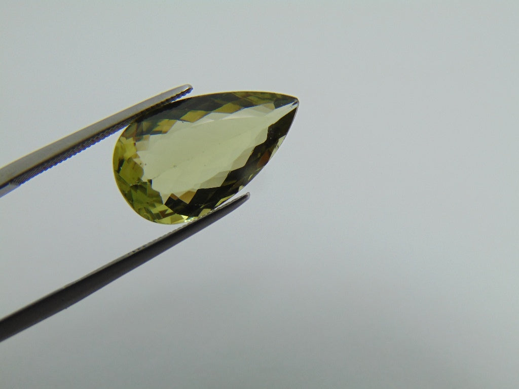 6,65 cts Berilo (Verde)