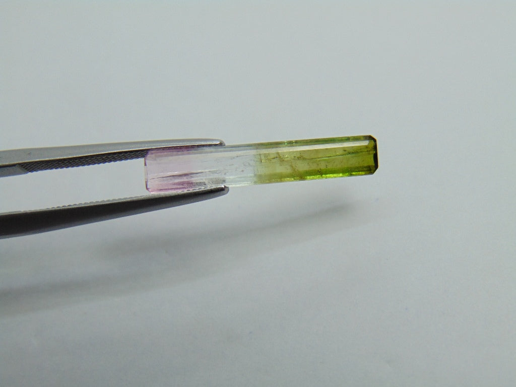 1.70ct Tourmaline Bicolor 21x4mm