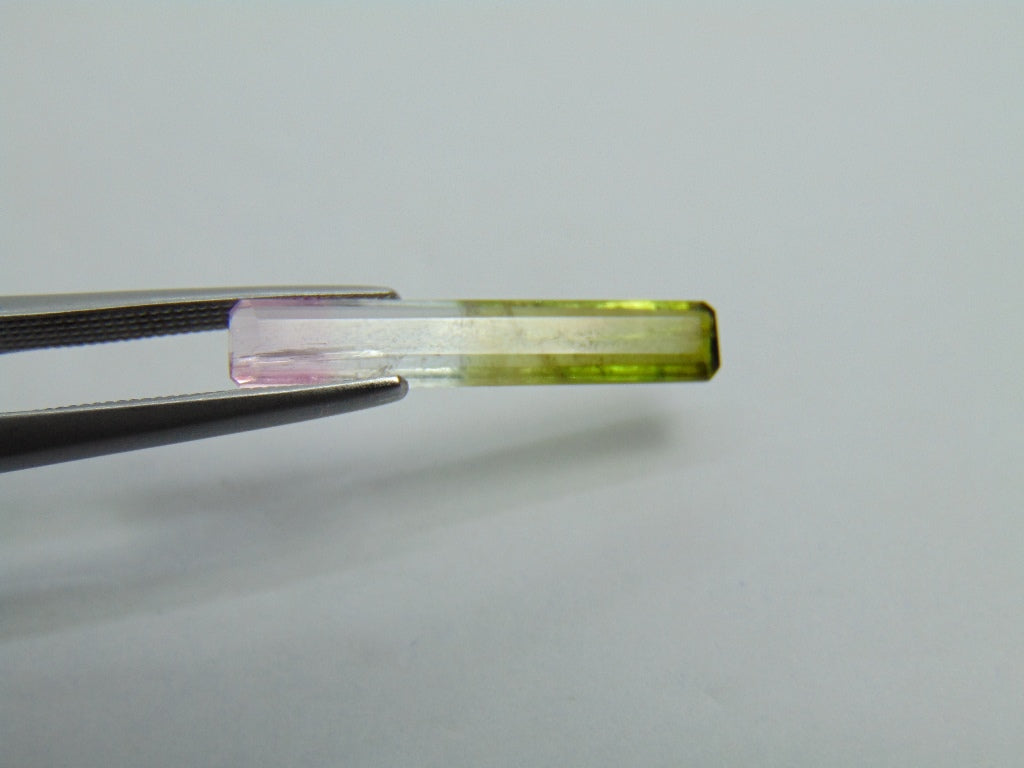 1,70ct Turmalina Bicolor 21x4mm