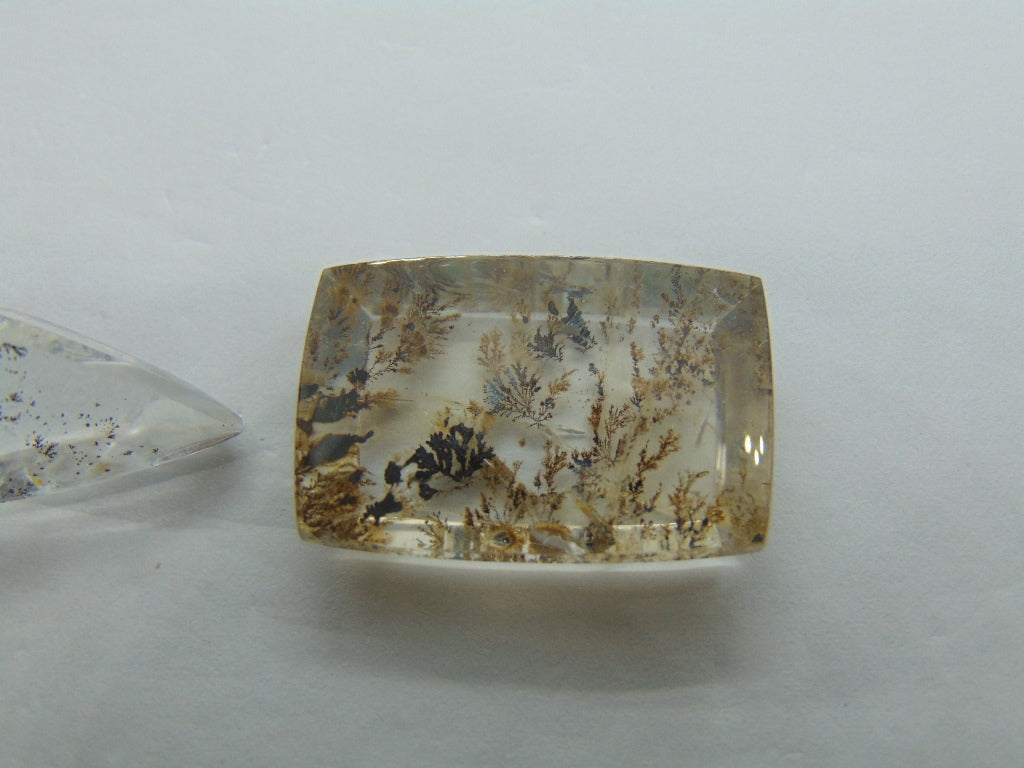 43.50ct Dendrite