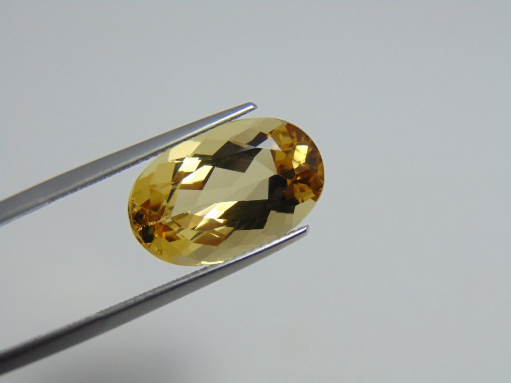 9.20cts Beryl