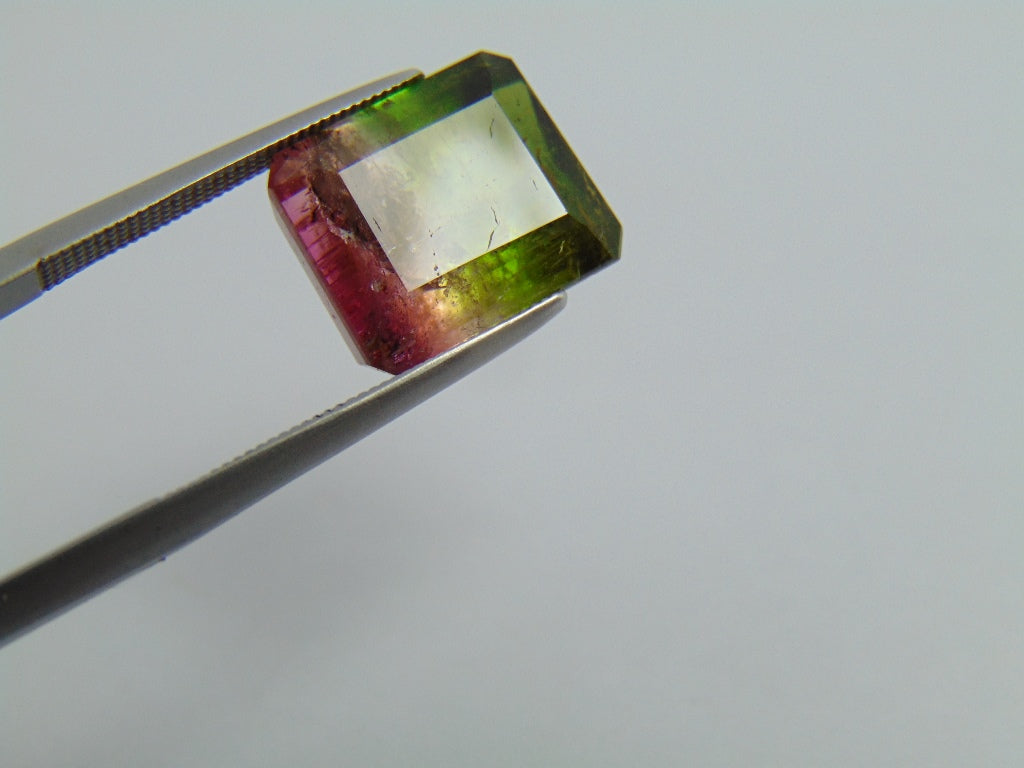 7.70cts Tourmaline (Bicolor)