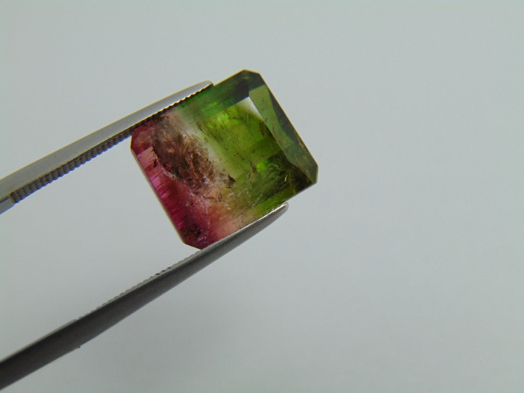 7.70cts Tourmaline (Bicolor)