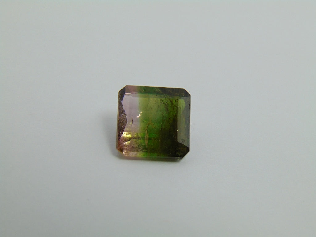 7,95cts Turmalina (Bicolor)