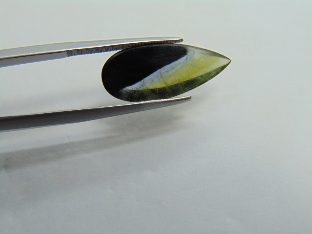 5,25ct Turmalina Bicolor 21x9mm