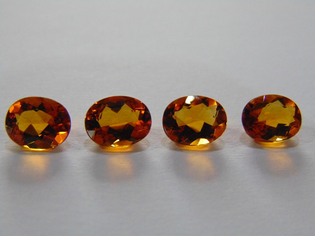 Pares calibrados de citrino 7,20ct 9x7mm